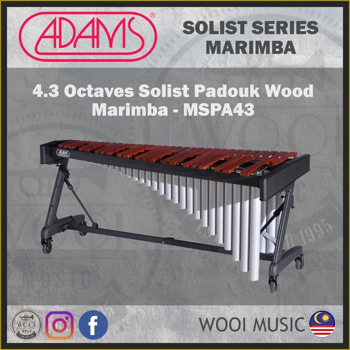MSPA43 COVER