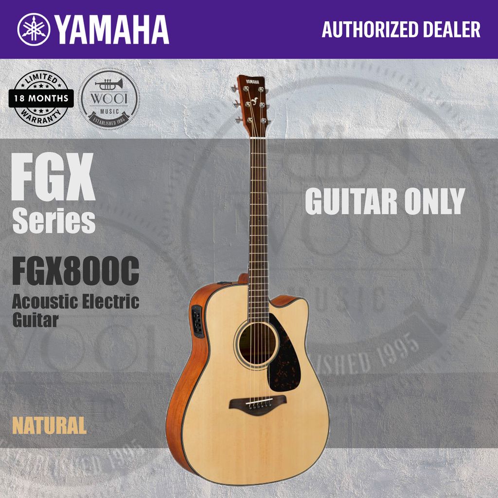 FGX800C NR GUITAR ONLY