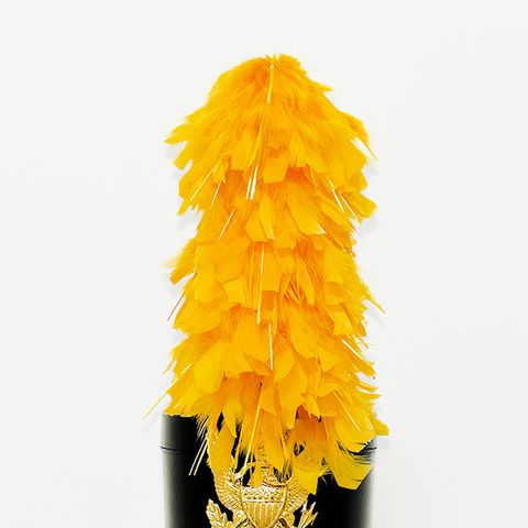 Plumes Yellow