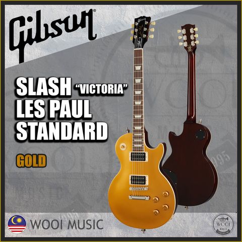SLASH VIC LP GT COVER
