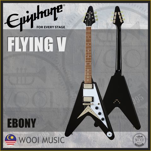 FLYING V EBONY COVER