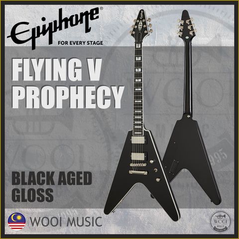 FLIYING V PROPHECY BLACK COVER