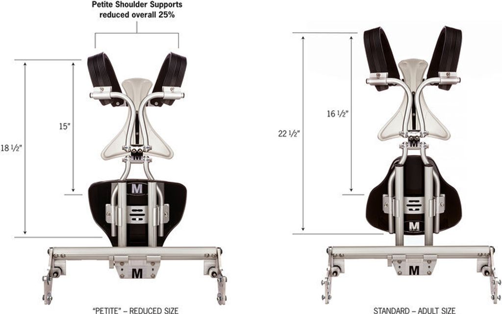 Petite-Bass-Comparison (1)