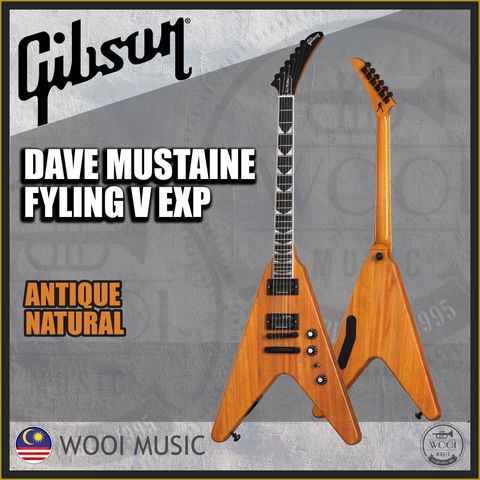 DAVE MUSTAINE FLYING V EXP AN COVER