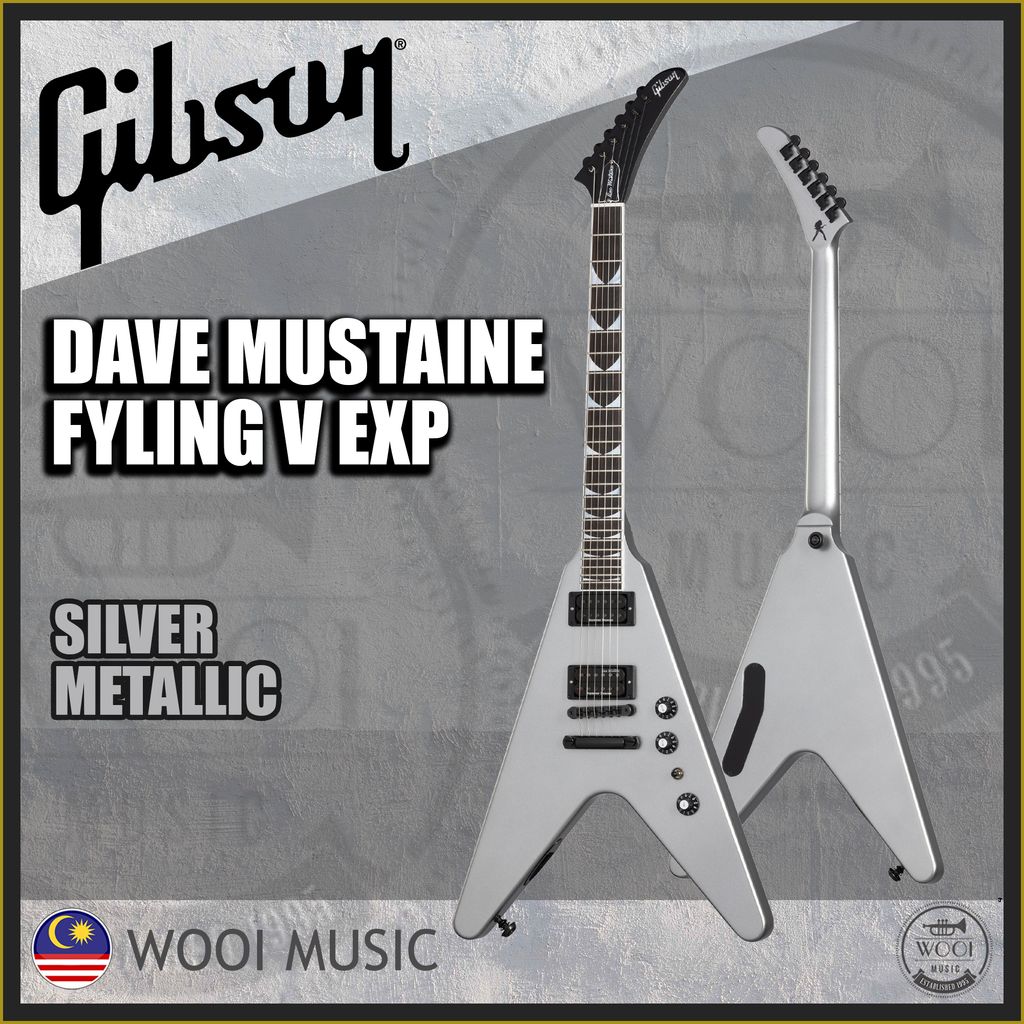 DAVEMUSTAINE flyingV EXP COVER