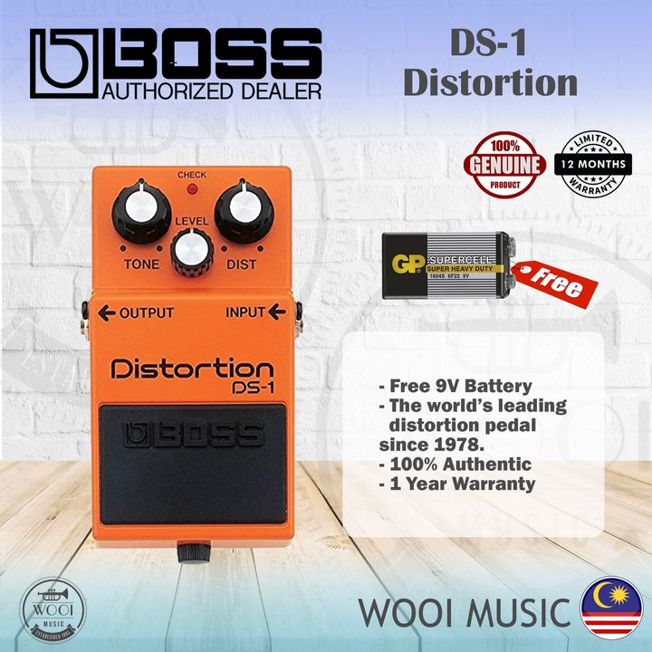 DS-1 COVER