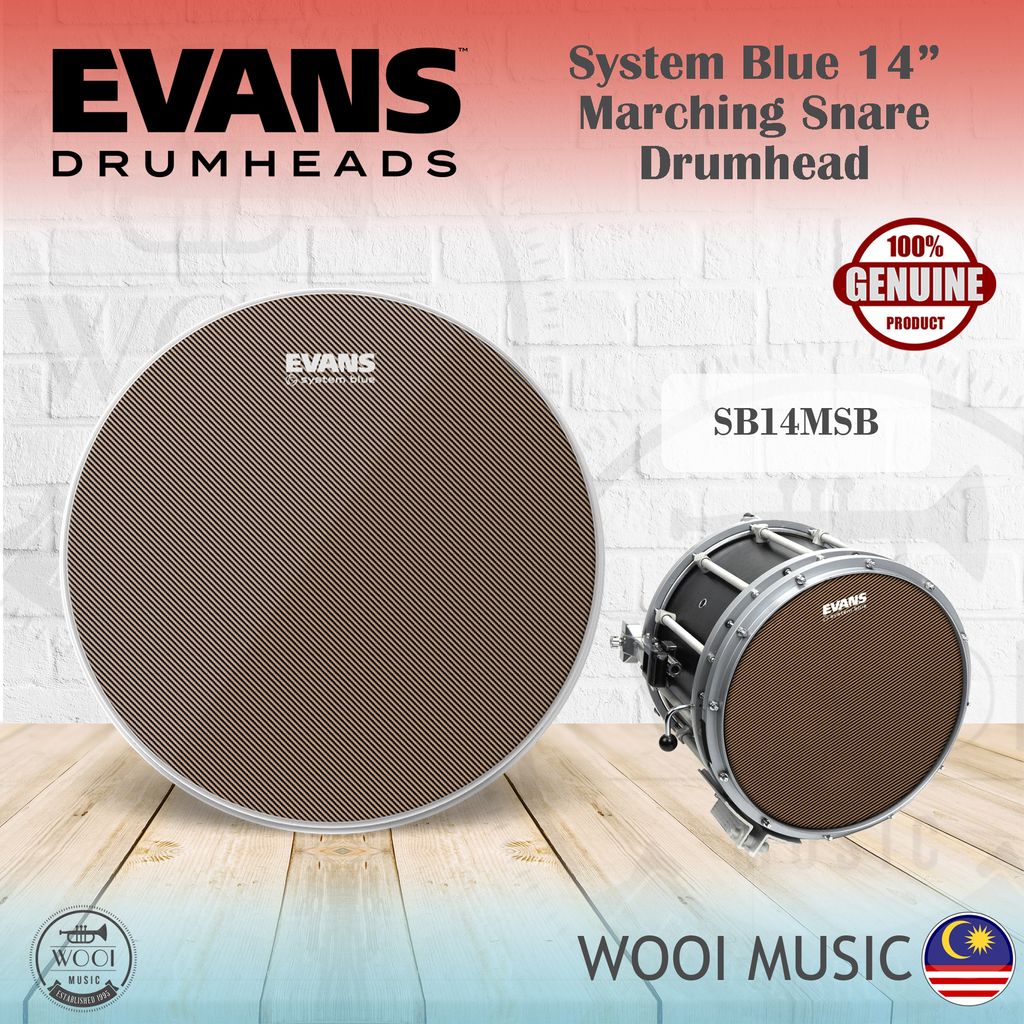 System 2024 blue snare