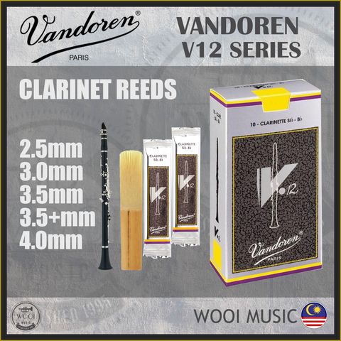 VANDOREN V12 loose