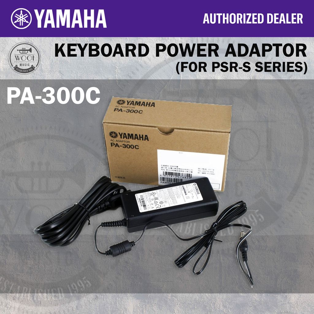 PA-300C