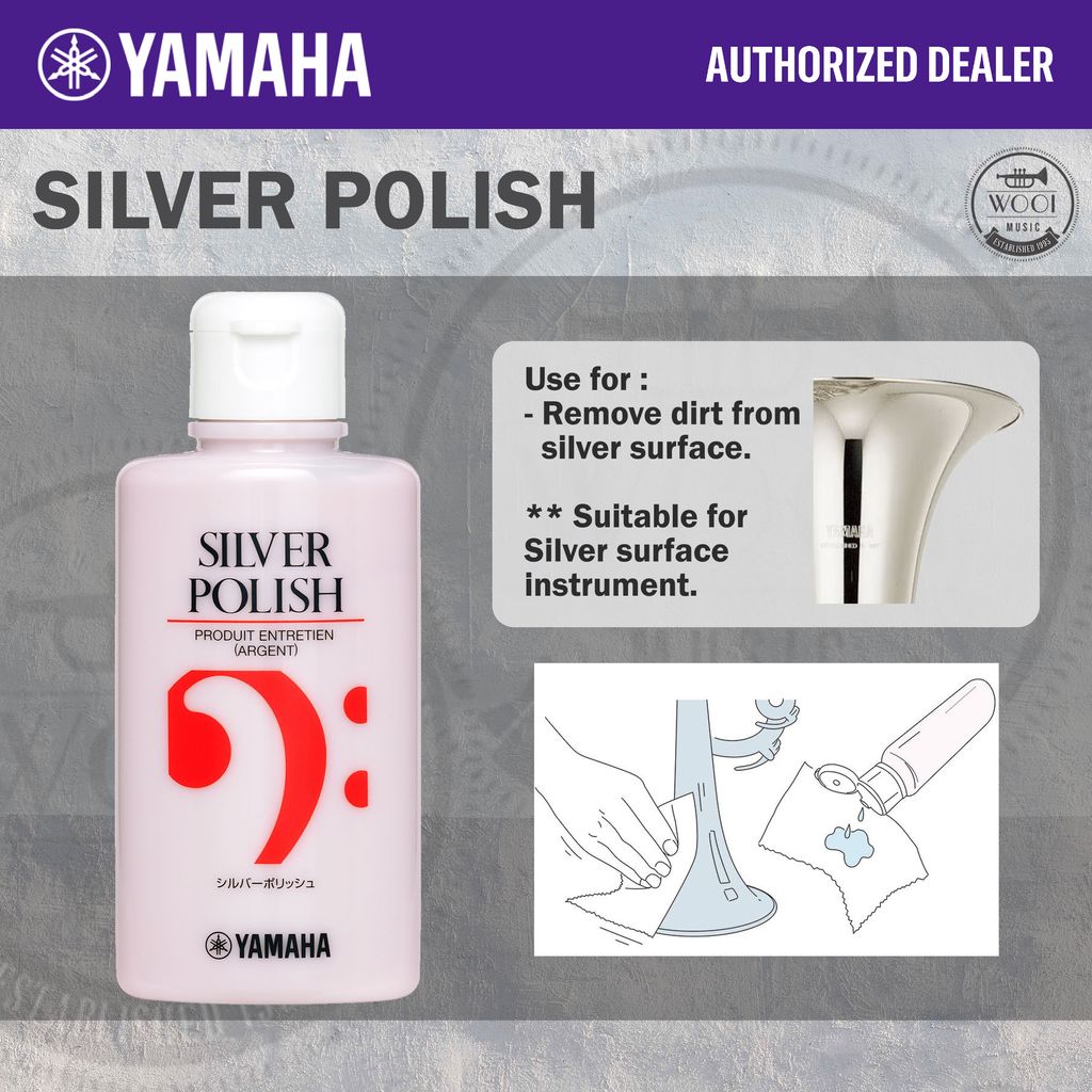Silver Polish cover