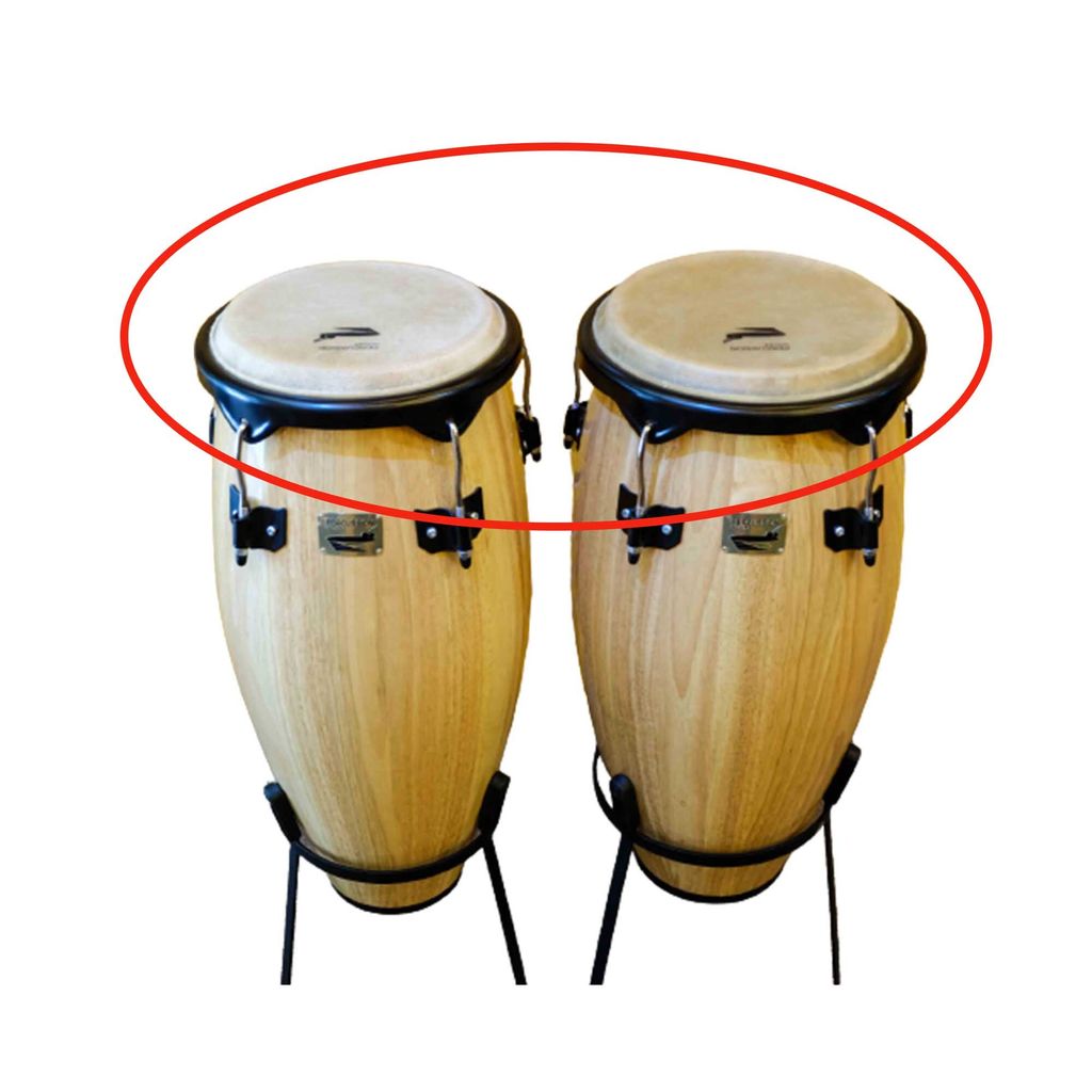 10 outlet conga head