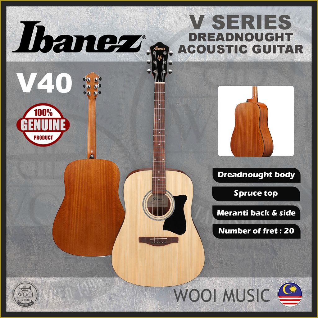 Ibanez V Series Guitar - V40 - CP
