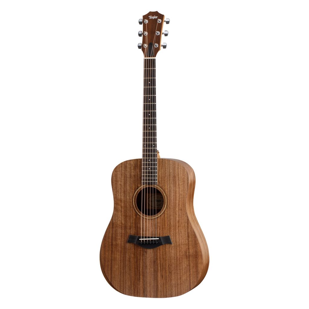 Taylor 20e - Walnut Top - 1