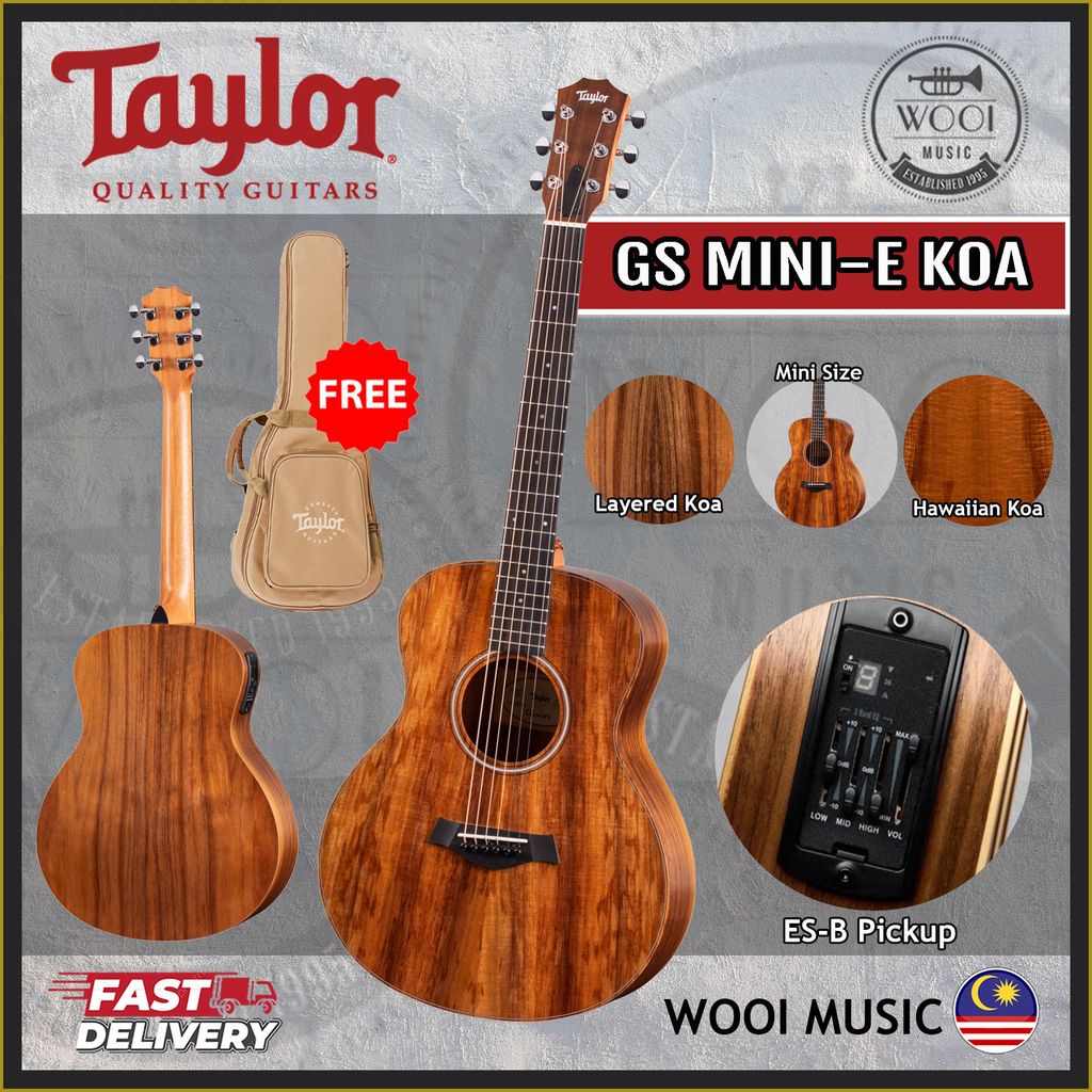 Tay GS MINI-E - KOA - CP