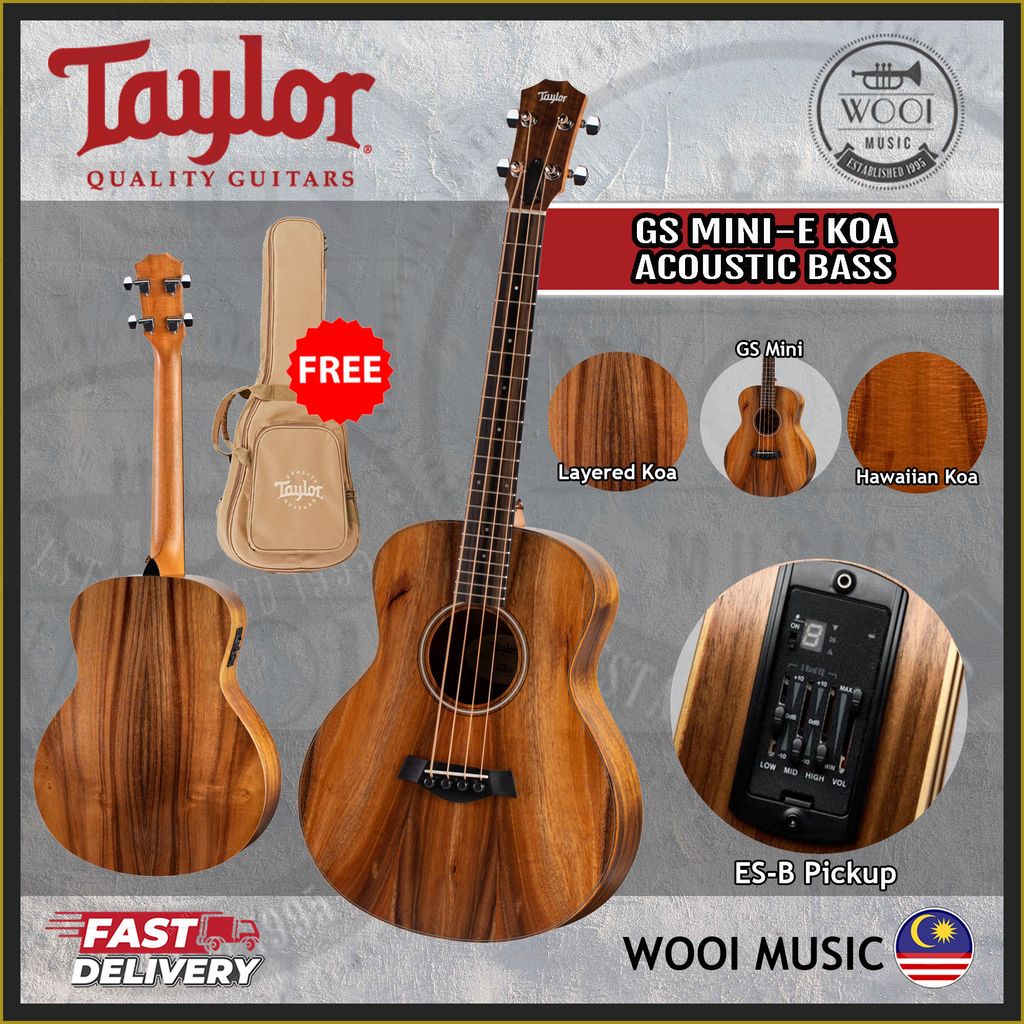 Tay GS MINI-E-KOA-BASS-CP