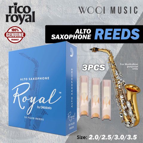 RICO ROYAL ALTO SAX - 3
