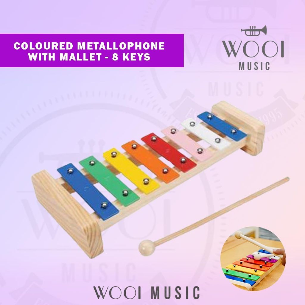 COLOURED METALLOPHONE - 8 KEYS