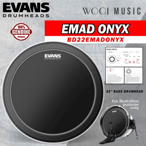 EVANS - NEW TEMPLATE