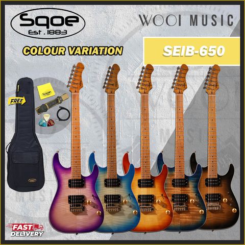 SQOE GUITAR SEIB650 VARIATION