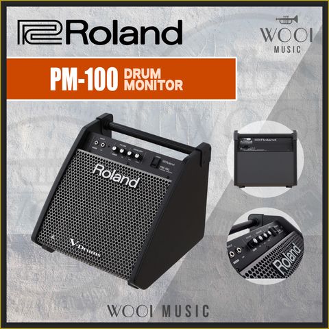 ROLAND-PM100