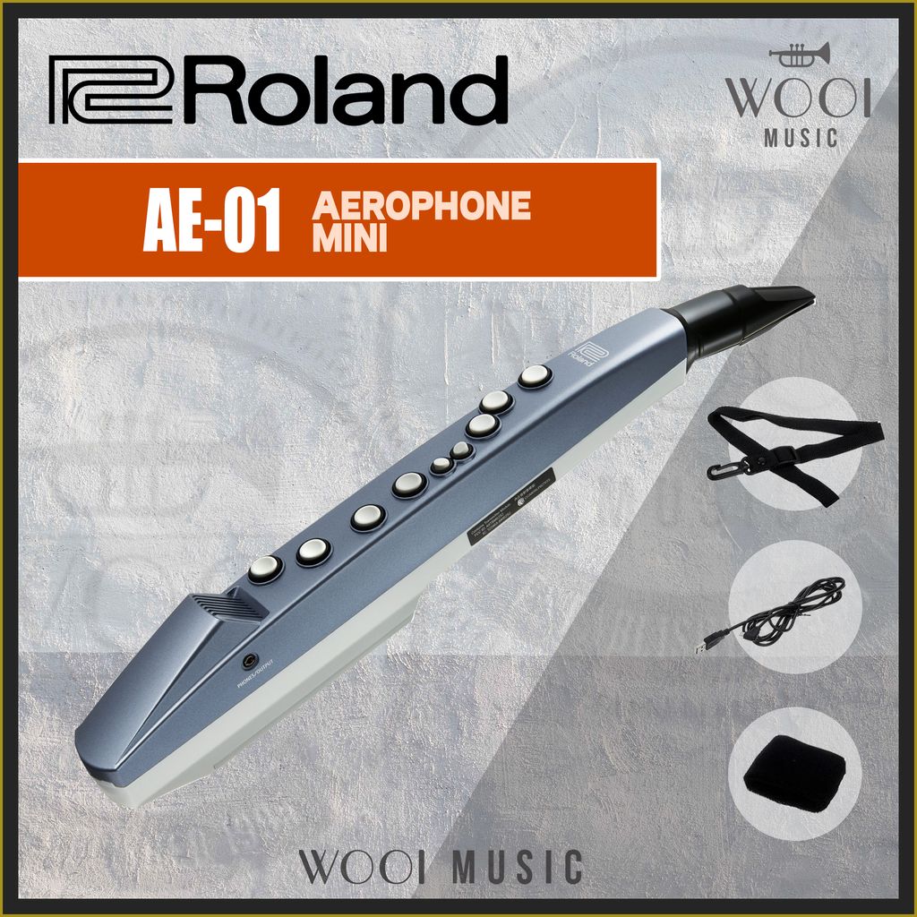 ROLAND-AE-01