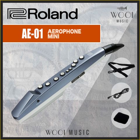 ROLAND-AE-01
