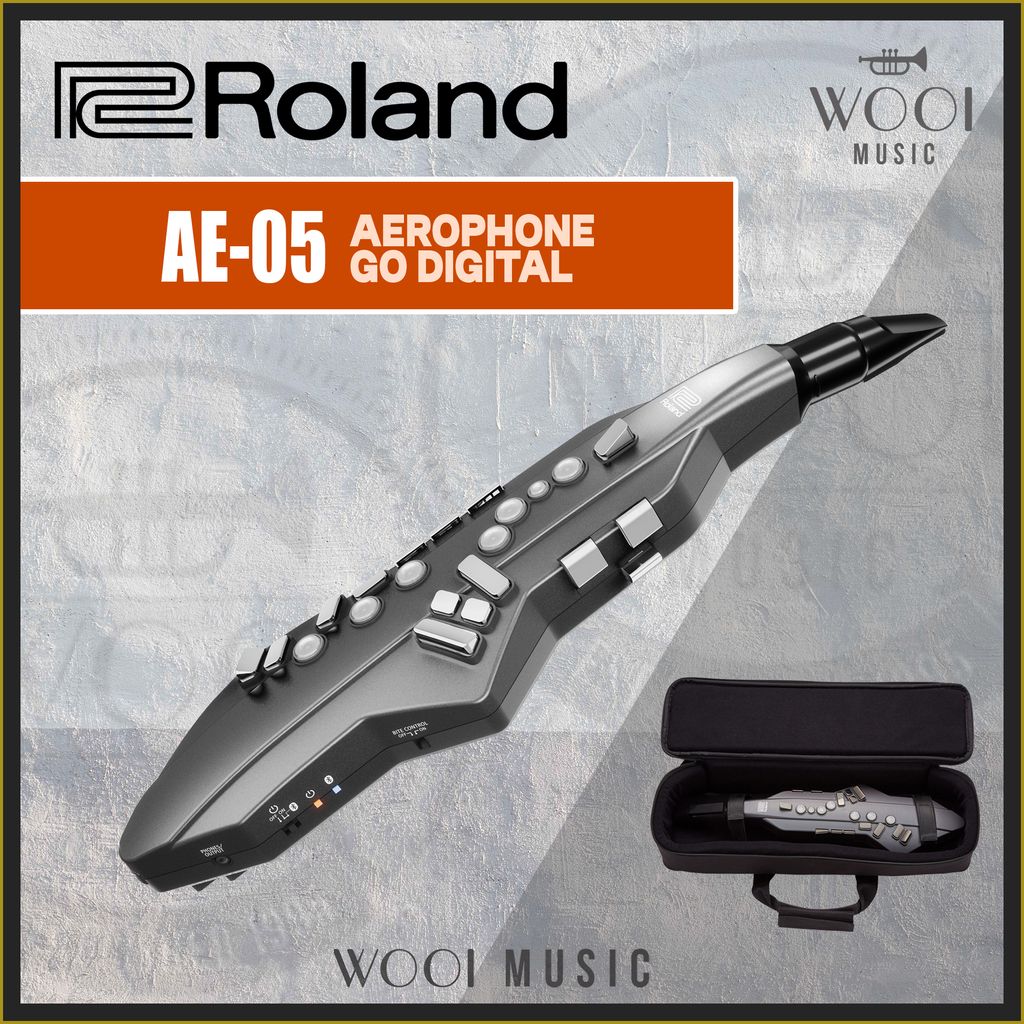 ROLAND-AE-05