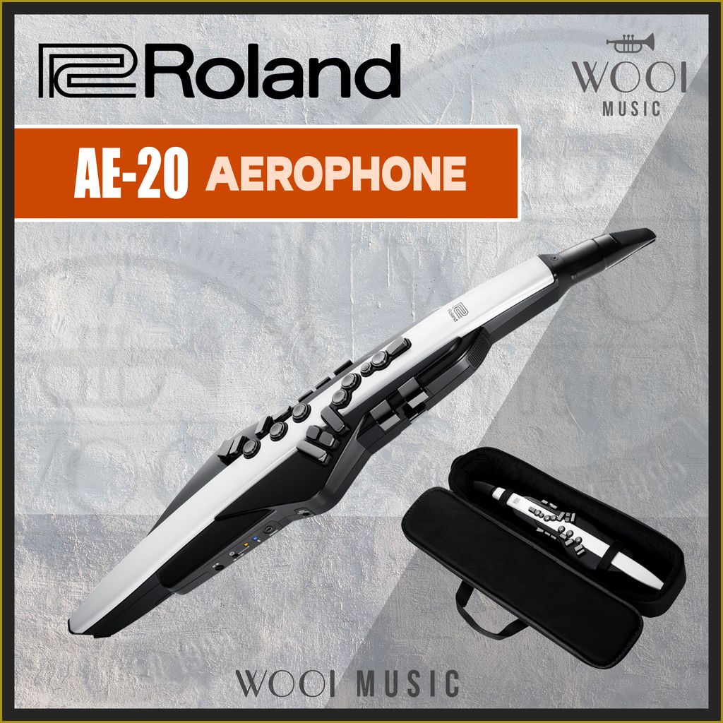 ROLAND-AE20