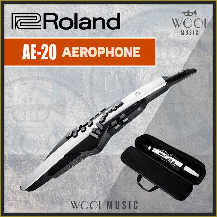 ROLAND-AE20