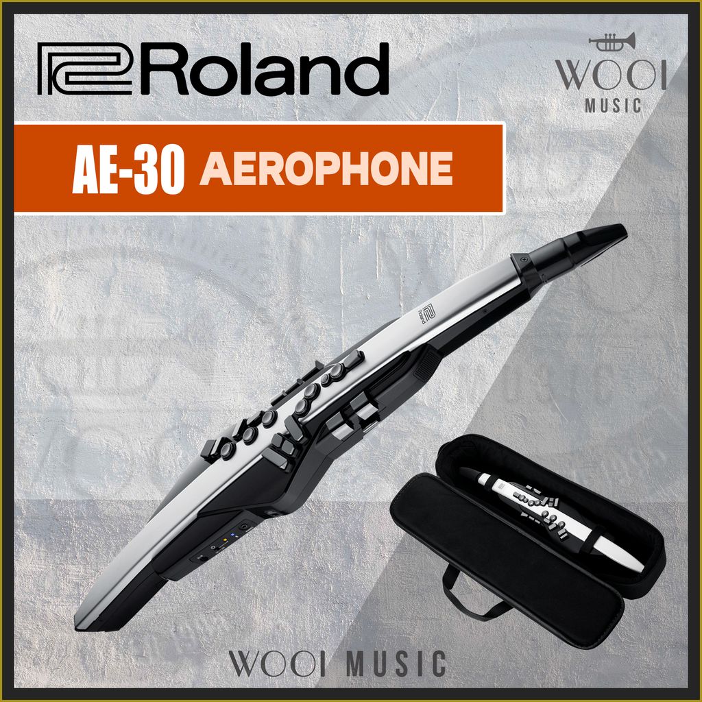 ROLAND-AE30