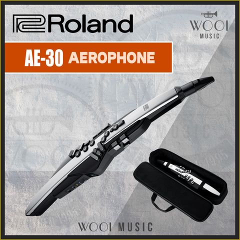 ROLAND-AE30