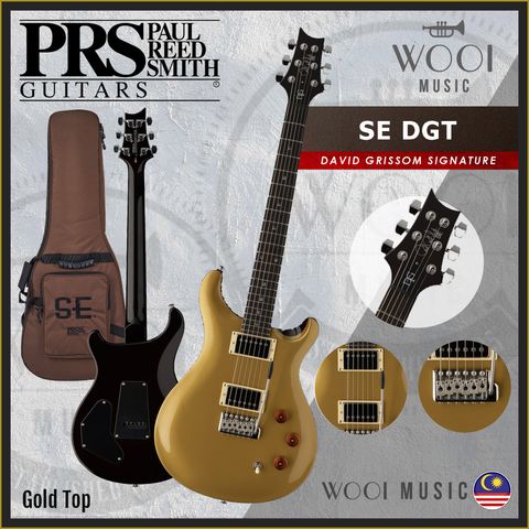 PRS SE DGT David Grissom Signature - Gold Top