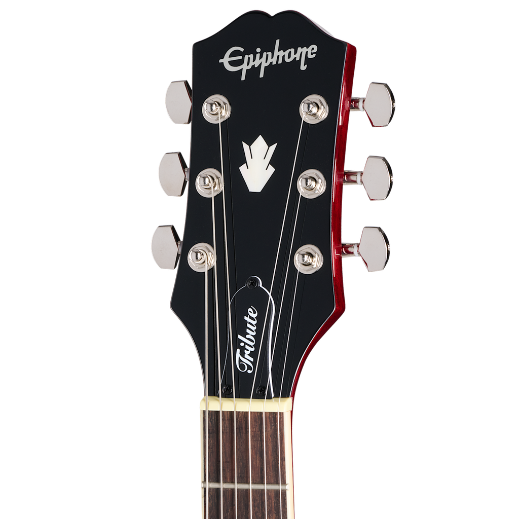 E1SGTCHNH1_hs