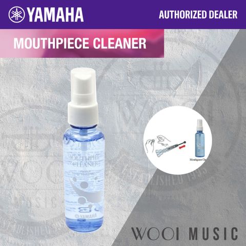 MOUTHPIECE CLEANER