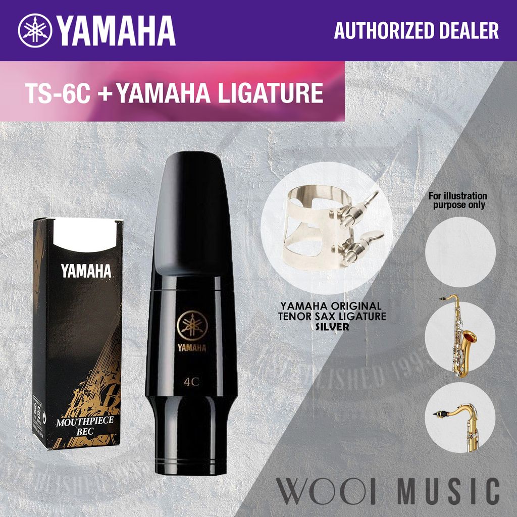 TS-6C +YMH LIGATURE - SILVER
