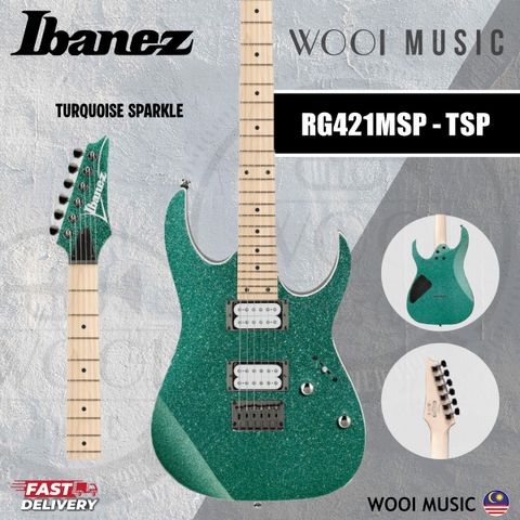 RG421MSP COVER