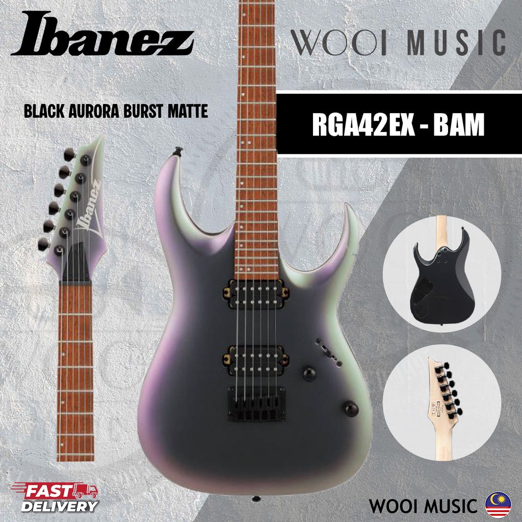 RGA42EX BAM COVER