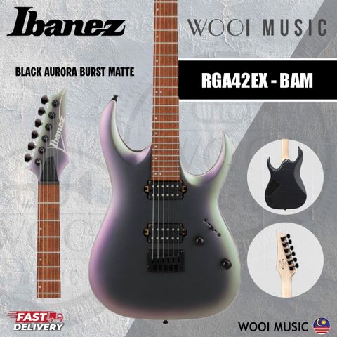 RGA42EX BAM COVER