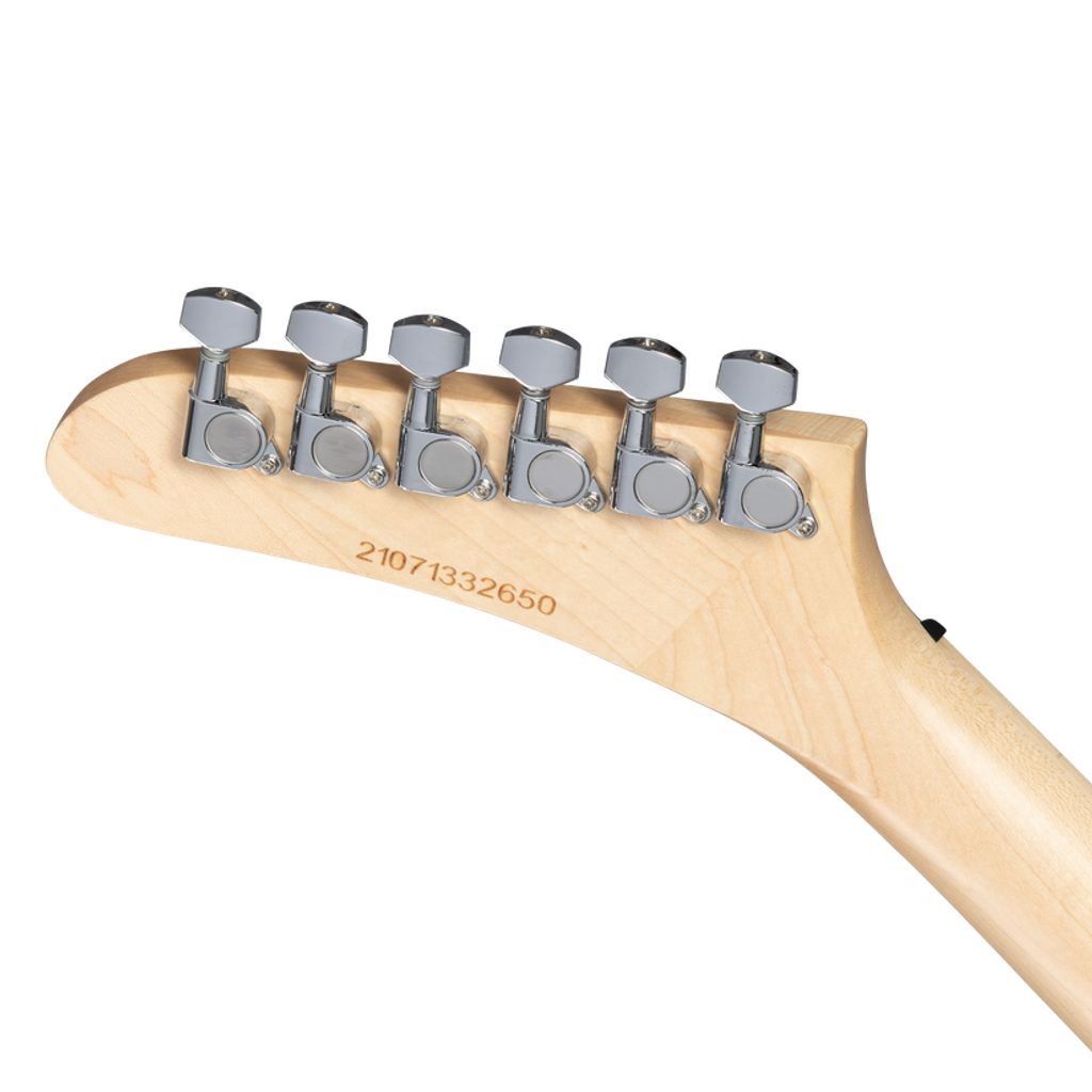 KPBSEBCT1_hs_back