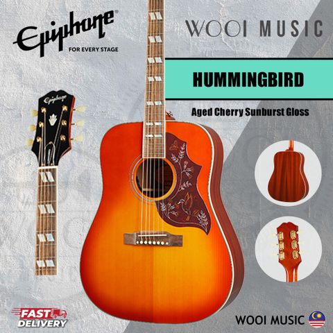 HUMMINGBIRD ACSG COVER