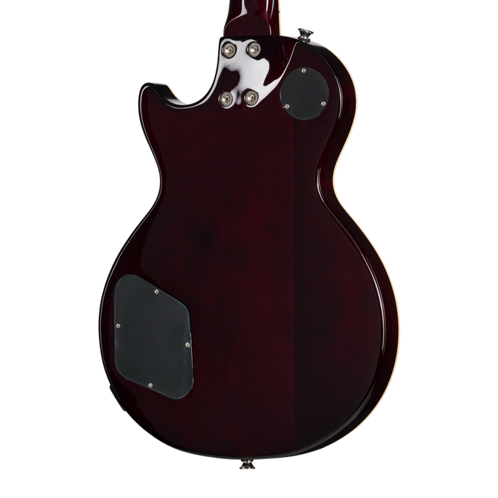 E1LPTPVSNH1_4_BackBody