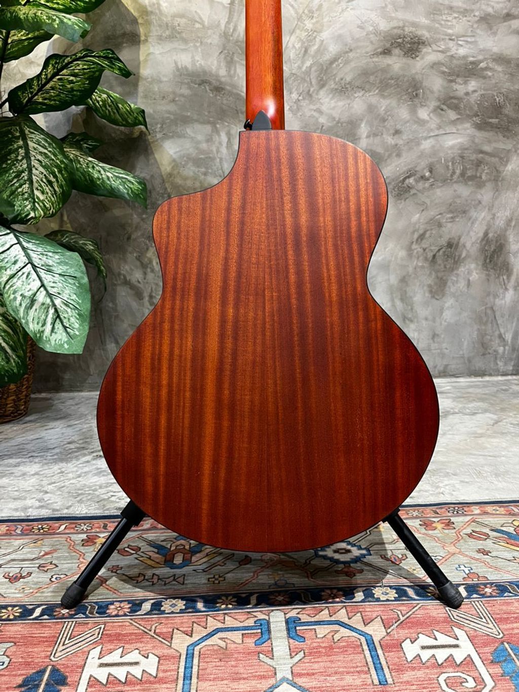 WhatsApp Image 2025-12-18 at 5.39.17 PM (1)