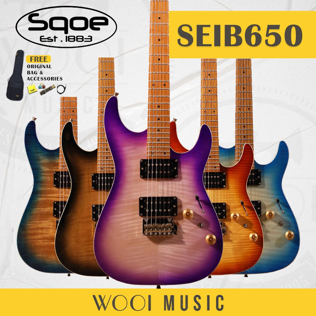 SQOE GUITAR SEIB650 VARIATION