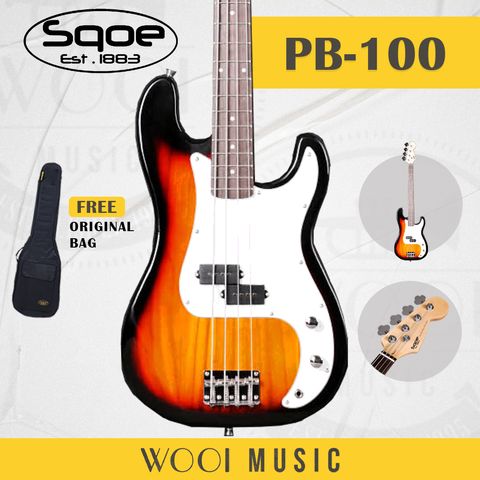 PB100 SUNBURST COVER