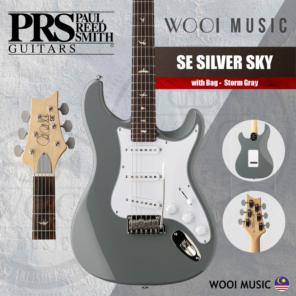 PRS-SE SILVER SKY-STORM GRAY