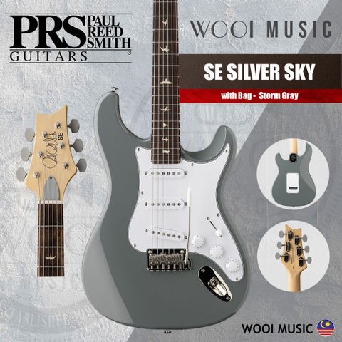 PRS-SE SILVER SKY-STORM GRAY