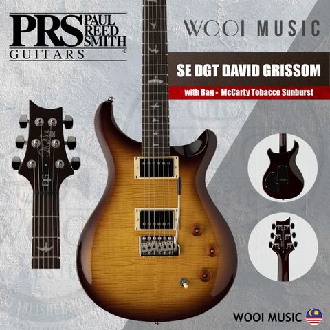 PRS SE DGT David Grissom Signature - Mccarty Tobacco Sunburst