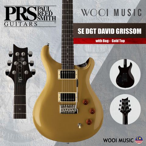 PRS SE DGT David Grissom Signature - Gold Top