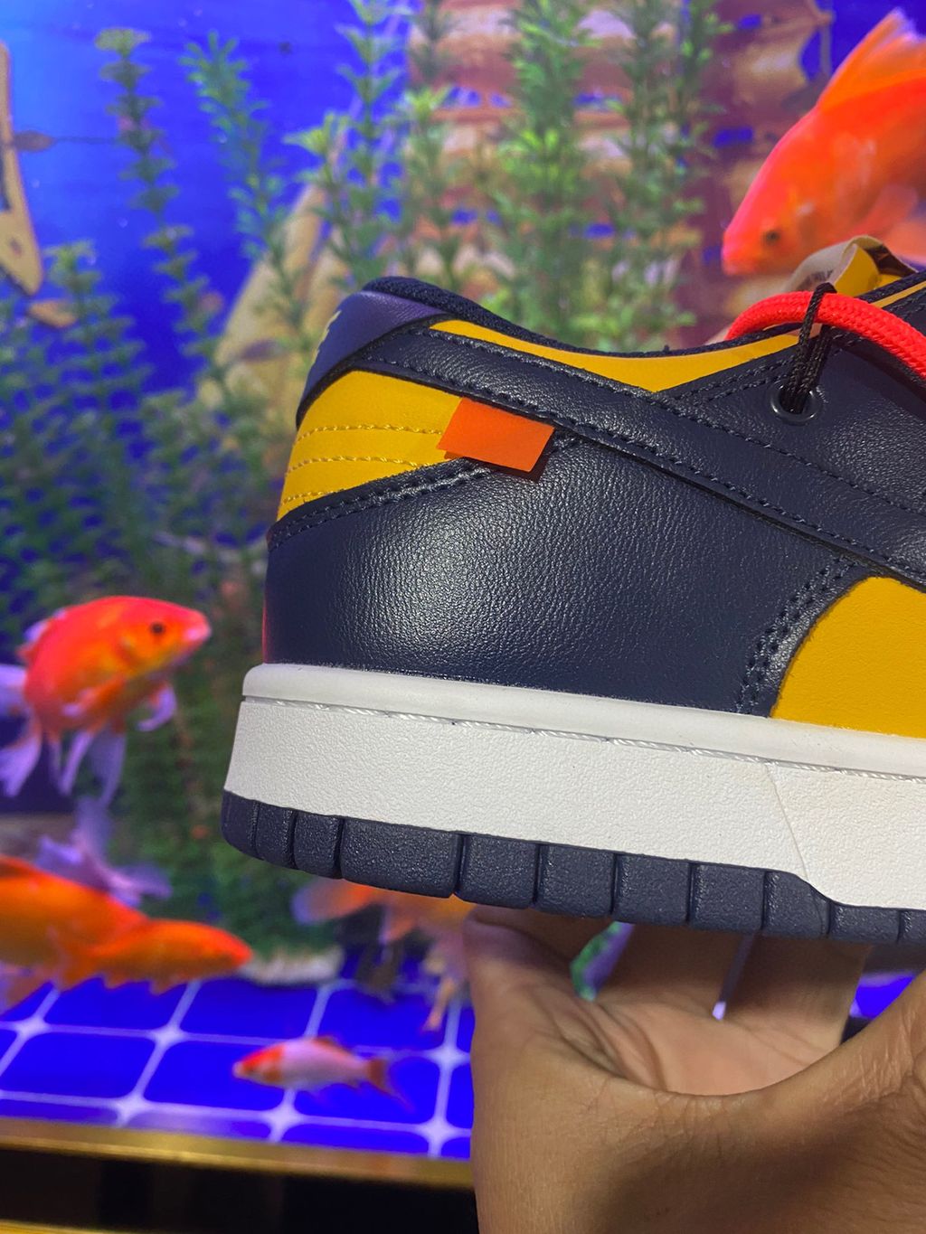 F8958C64-9549-4796-813F-22C4937A7384