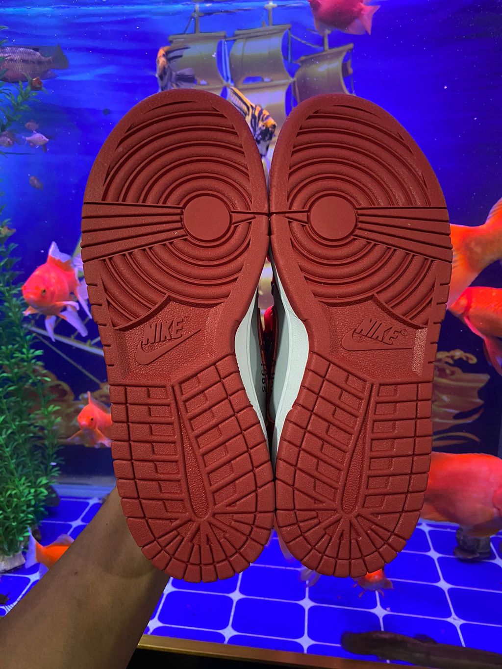 3A8A15C1-33B6-432A-9955-E244C59411F3